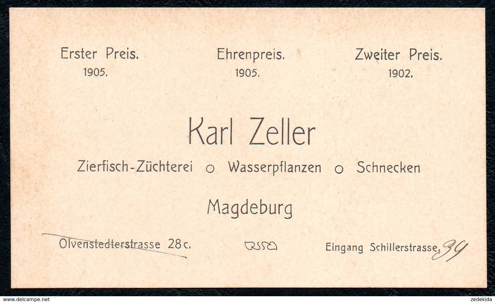 B6519 - Magdeburg - Karl Zeller - Fischzucht - Visitenkarte - Otto Happel - Cartes De Visite