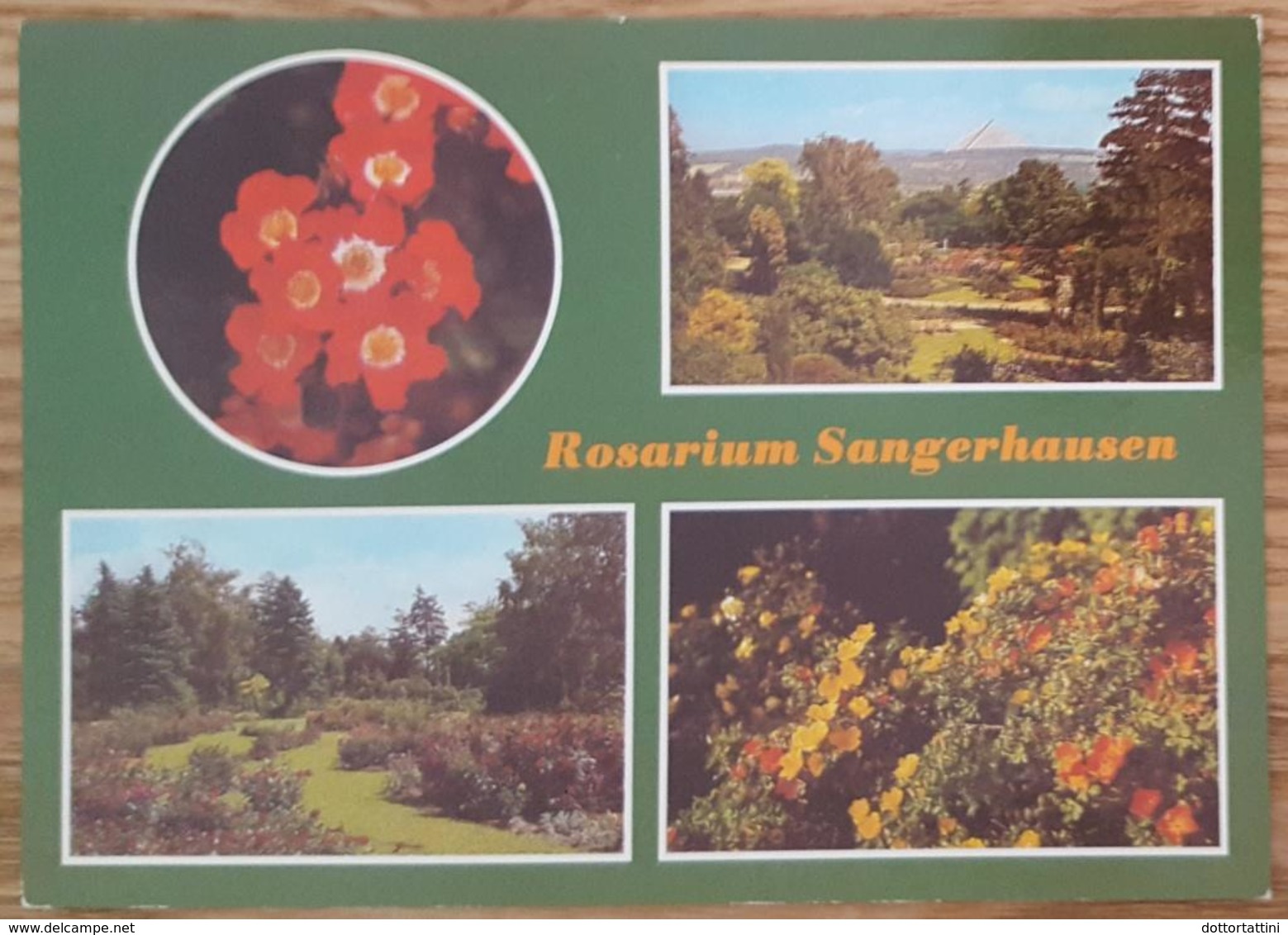 Rosarium SANGERHAUSEN Grosste Rosensammlung Der Welt - DDR  Vg  G2 - Wernigerode