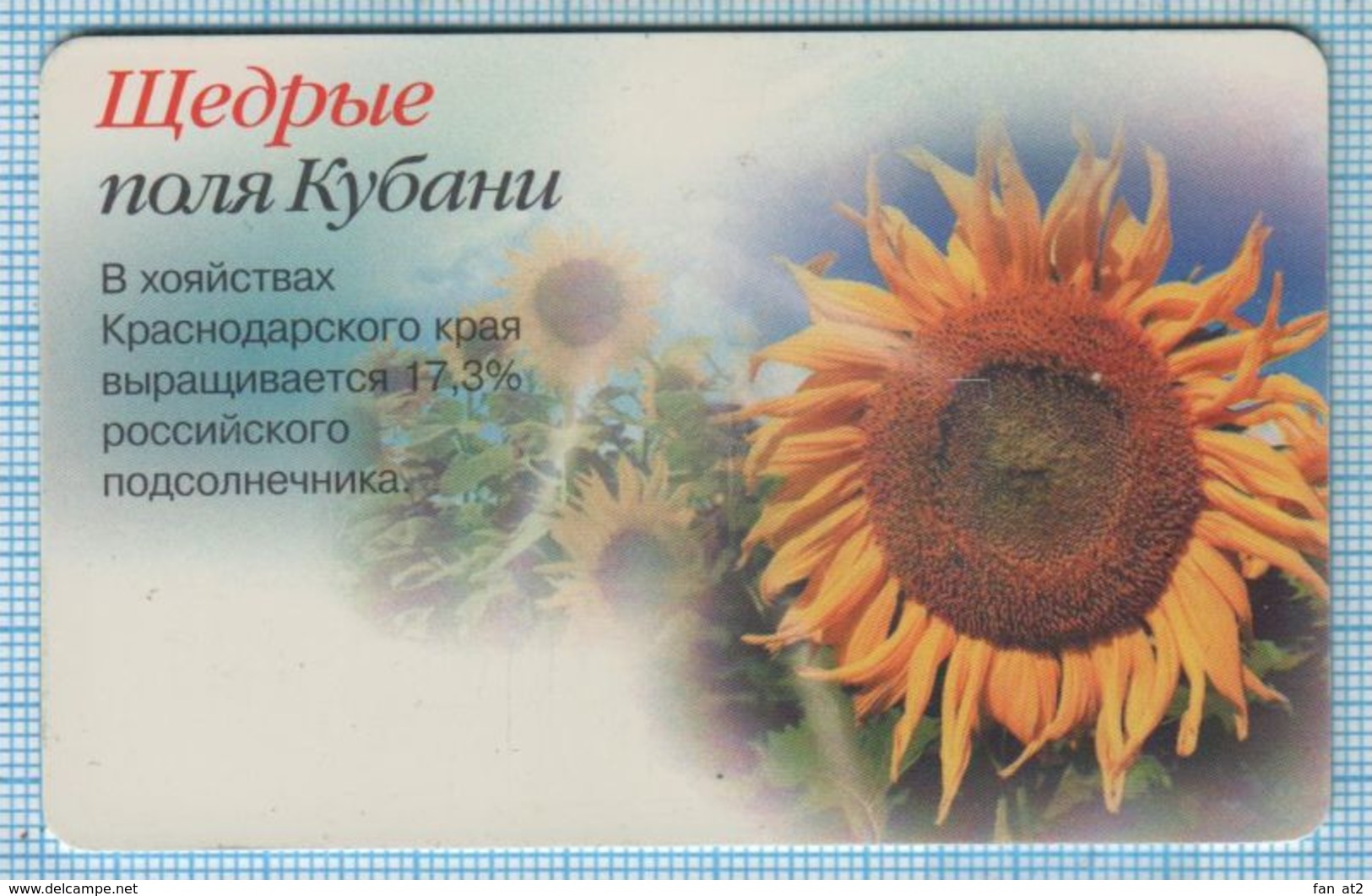 RUSSIA / KUBAN / PHONECARD / KRASNODAR KRAI 65 YEARS. SUNFLOWER. FLORA / 100 UNITS / 2004 - Russie