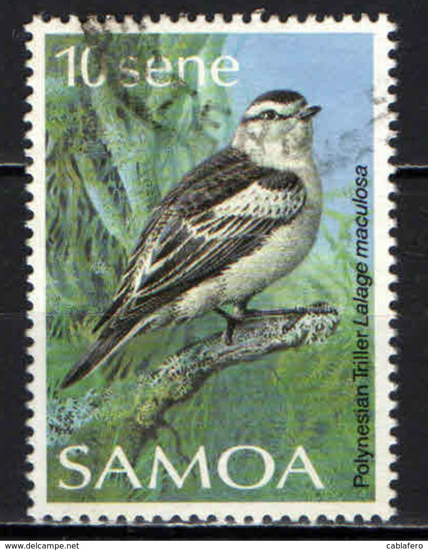 SAMOA - 1988 - UCCELLO - BIRD - LALAGE MACULOSA - USATO - Samoa (Staat)