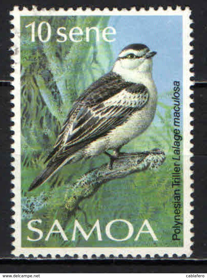 SAMOA - 1988 - UCCELLO - BIRD - LALAGE MACULOSA - USATO - Samoa