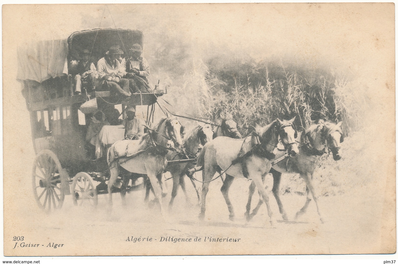 ALGERIE - Diligence De L'Intérieur - J. Geiser, Alger - Autres & Non Classés