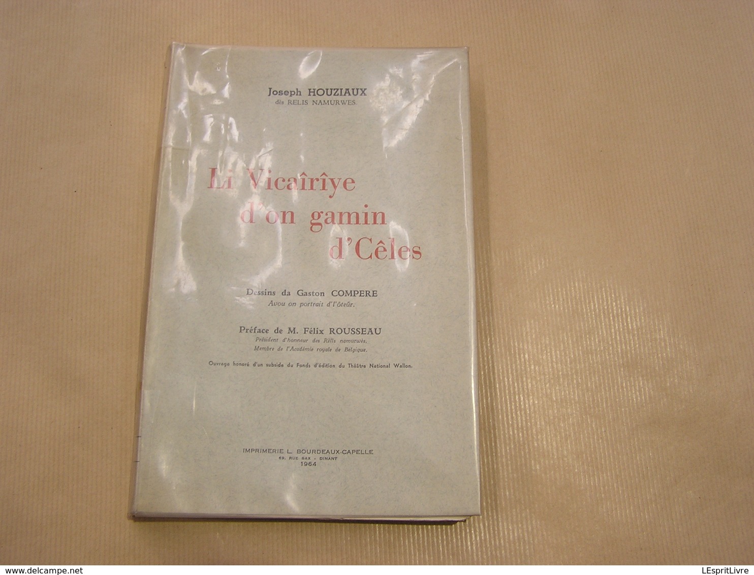 LI VICAÎRÎYE D' ON GAMIN D' CÊLES Houziaux 1964 Régionalisme Wallonie Celles Auteur Belge Dialecte Patois Parler Wallon - België