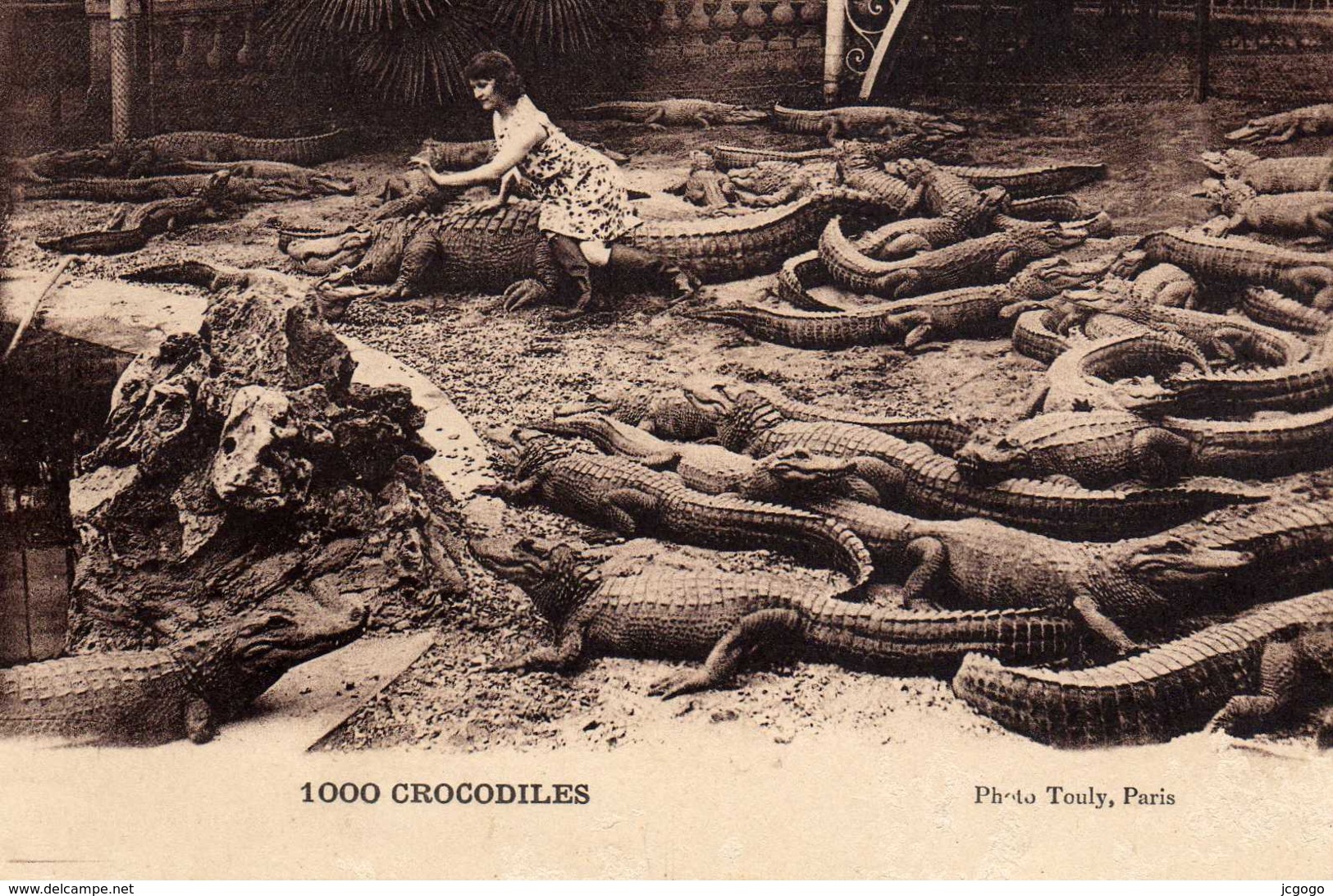 06-CAGNES-sur-MER-Jardin Zoologique Du Gros De Cagnes.1000 CROCODILES. - Cagnes-sur-Mer