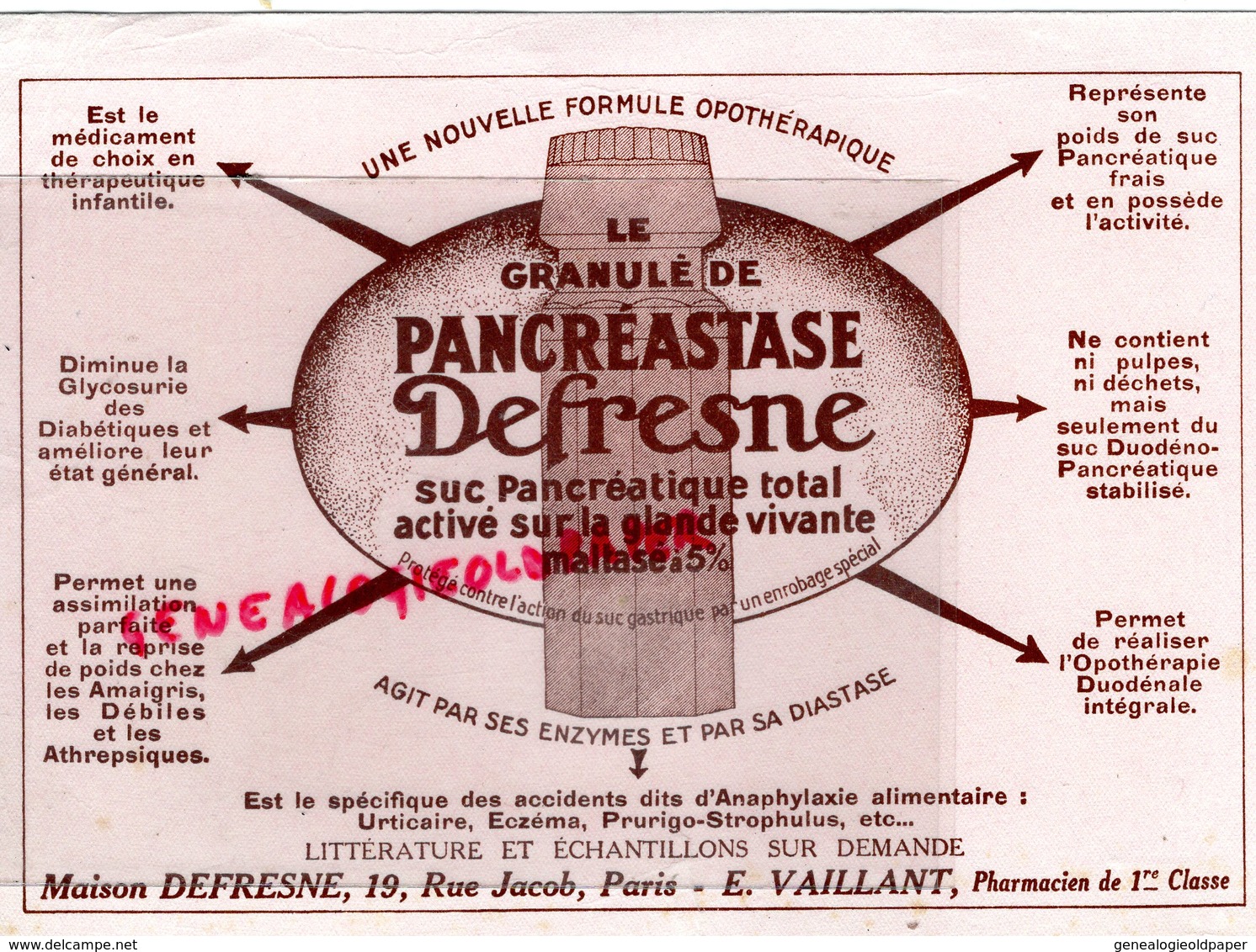 75- PARIS- RARE BUVARD MAISON DEFRESNE-19 RUE JACOB- E. VAILLANT PHARMACIEN PHARMACIE-PANCREASTASE - Drogheria