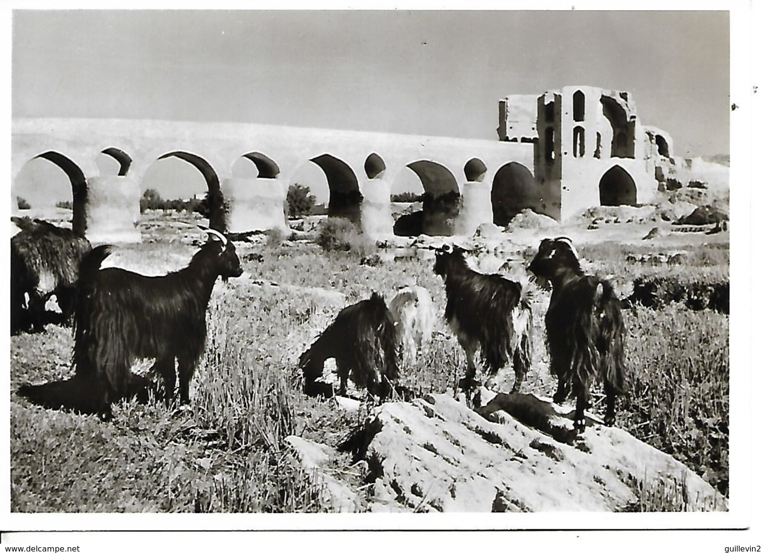 Iran Carte Postale Circulée 15.3.1964 - Iran