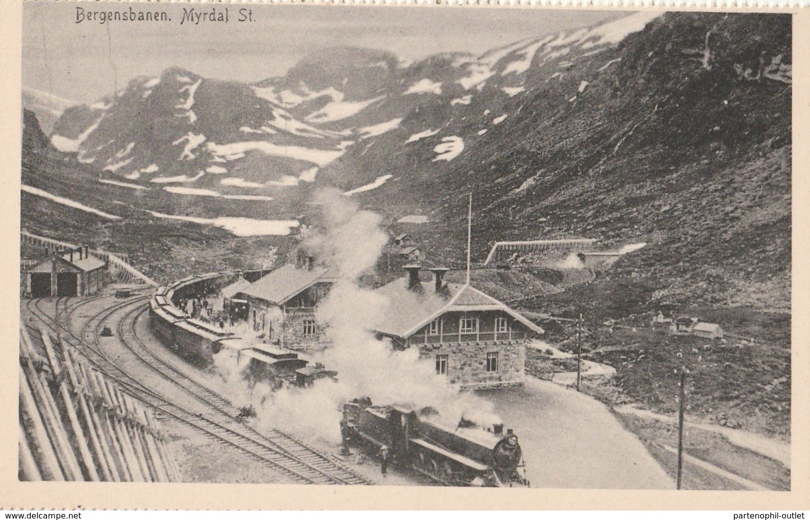 Cartolina Non Viaggiata - Not  Sent  -  Bergensbanen, Stazione Di Myrdal - Treni