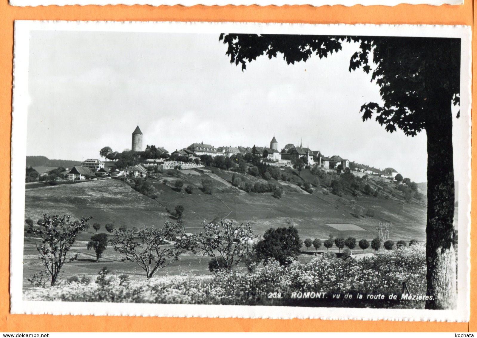 MOL441, Romont, 259 , édit. Paul Savigny, Non Circulée - Romont