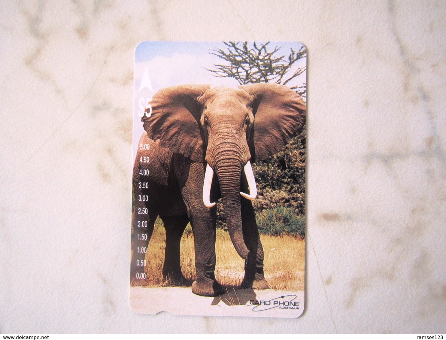 1  CARD AUSTRALIA    ELEPHANT    TOP MINT - Australie