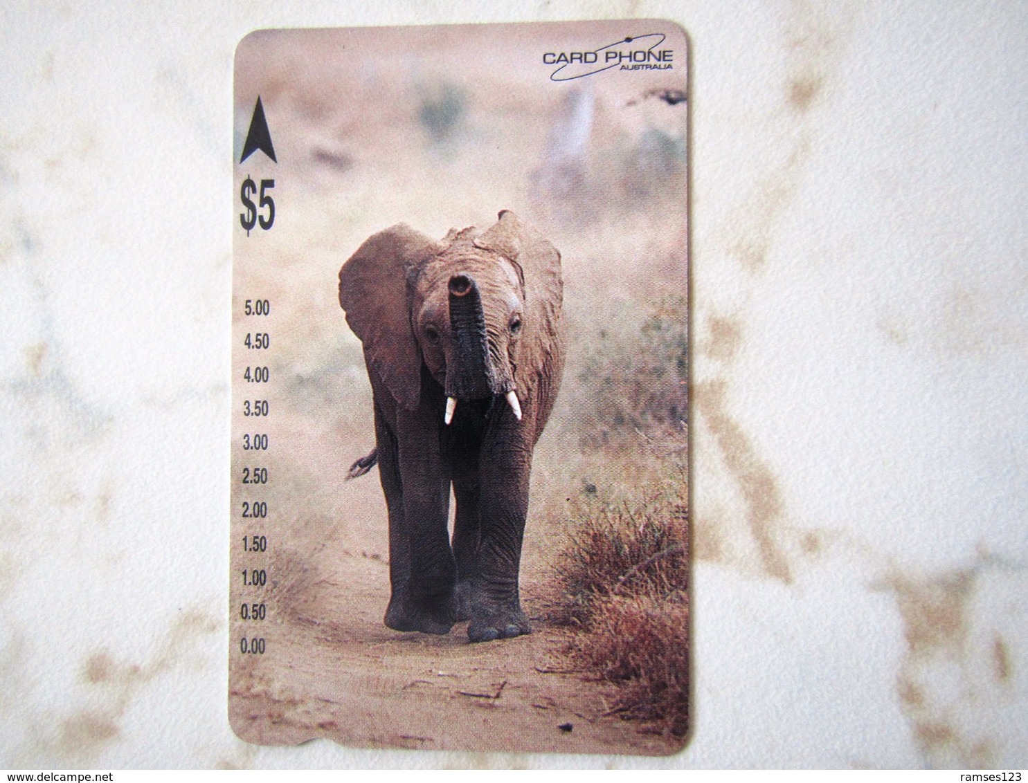 1  CARD AUSTRALIA    ELEPHANT    TOP MINT - Australie