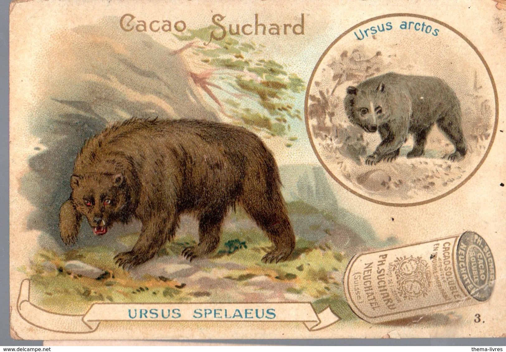 Neuchatel (Suisse) Chromo CACAO SUCHARD : L'ours (PPP17477) - Suchard