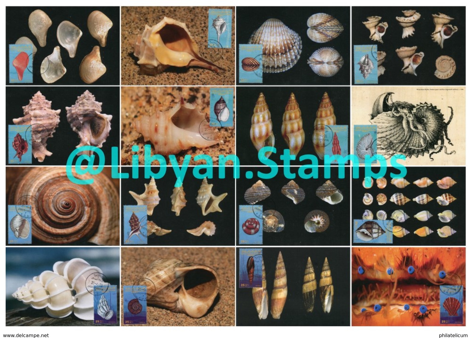 LIBYA - 1985 Shells (16 Maximum-cards) - Muscheln