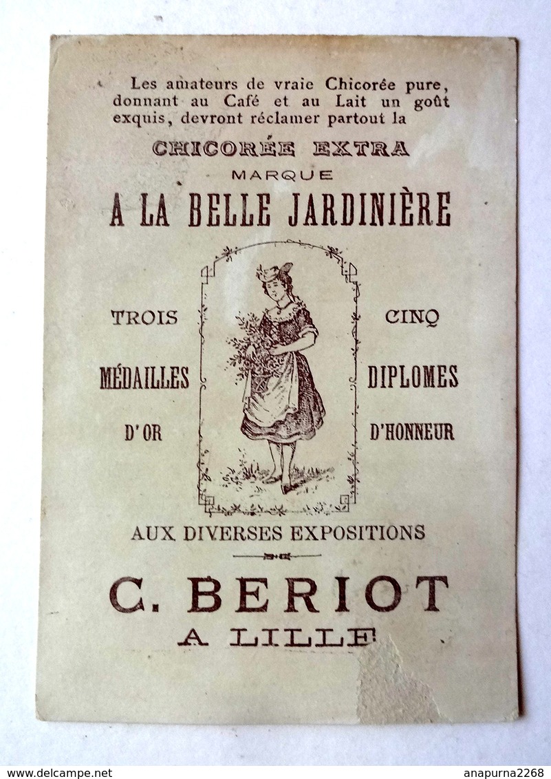 CHROMO    LILLE..CHICORÉE LA BELLE JARDINIÈRE ....BERIOT.......DÉCORATION... MÉDAILLE DE CRIMÉE - Autres & Non Classés
