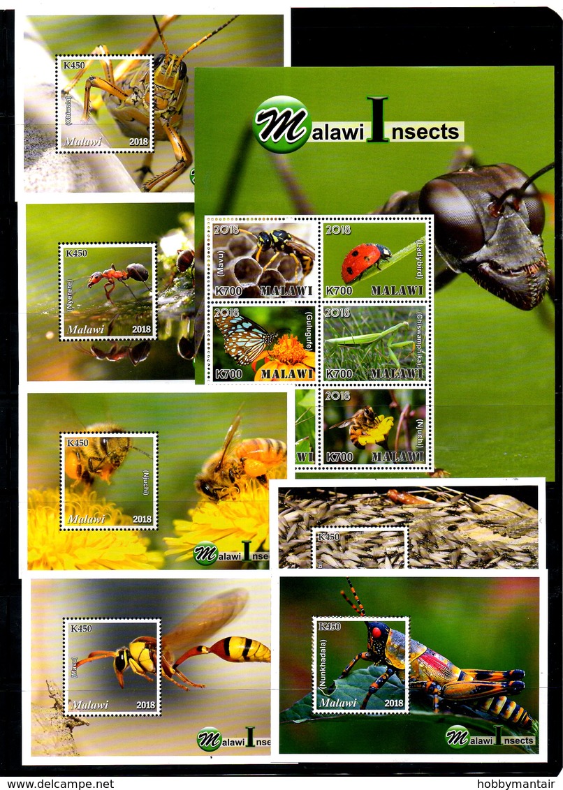 MALAWI, 2019, INSECTS, 6 M/S+S/S, MNH**, NEW!! - Autres & Non Classés