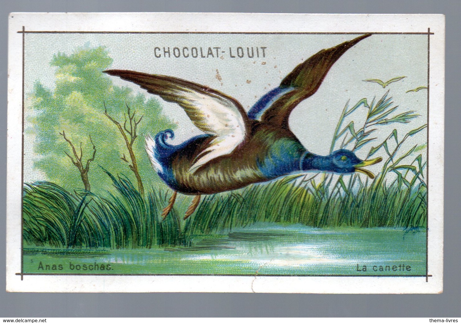Bordeaux (33 Gironde) Calendrier 1887 / Chromo  CHOCOLAT LOUIT : La Canette  (PPP17483) - Petit Format : ...-1900