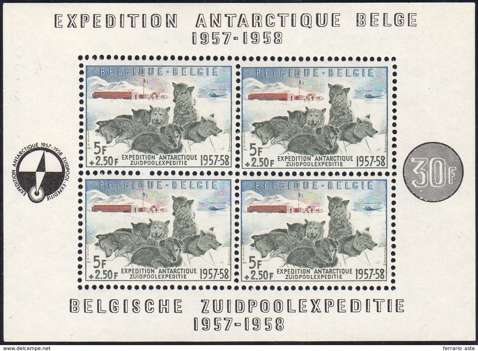 BELGIO FOGLIETTI 1957 - Spedizione Antartica (F31), Gomma Integra, Perfetto.... - Europe (Other)