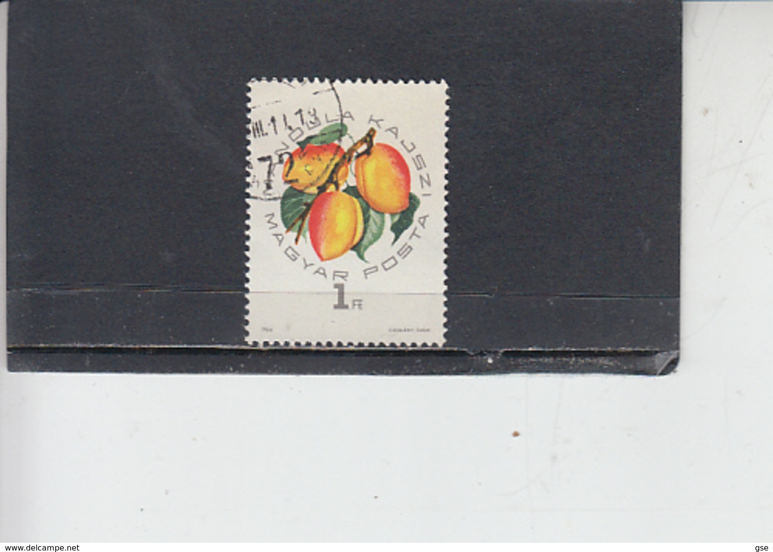 UNGHERIA  1964 - Yvert  1664 - Albicocche - Fruits