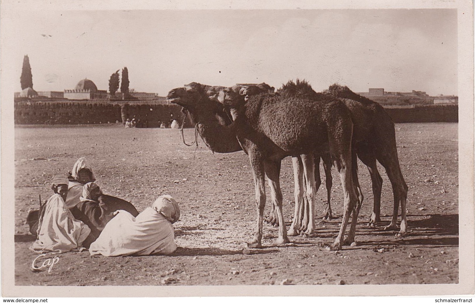 AK Scènes Types Les Chameaux Desert Bédouine Nomade Arabe Arab Arabien Afrique Africa Afrika Vintage Egypte Algerie ? - Afrique