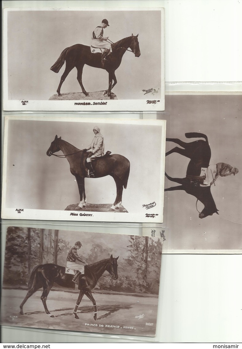 Theme Chevaux, Hippisme, Lot 4 Cp, Voir Scann ( Bienfait,Farnèse Et Miss Gaiatry (tout Frais + 1,40 Euros - Chevaux