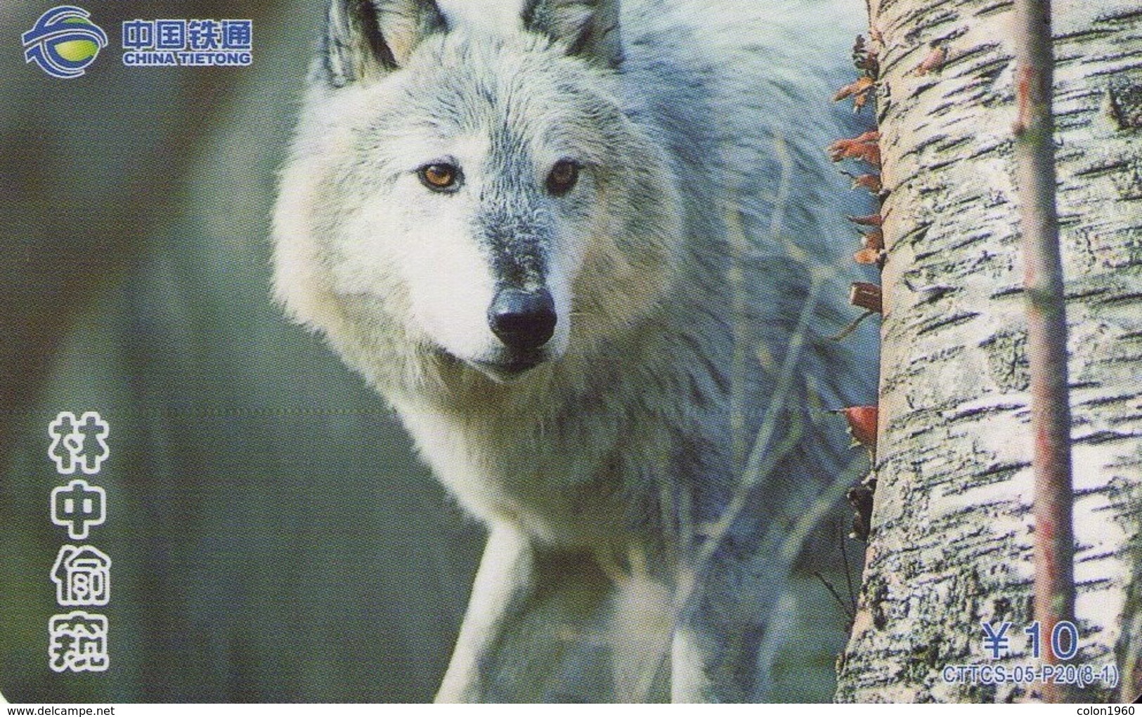 TARJETA TELEFONICA DE CHINA. FAUNA. LOBOS - WOLF. CTTCS-05-P20(8-1). (736). - Autres & Non Classés