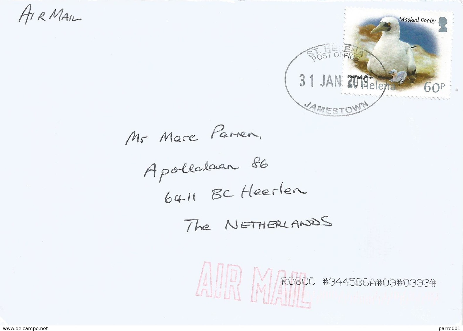 St Helena 2019 Jamestown Masked Booby Air Mail Cover - Sint-Helena