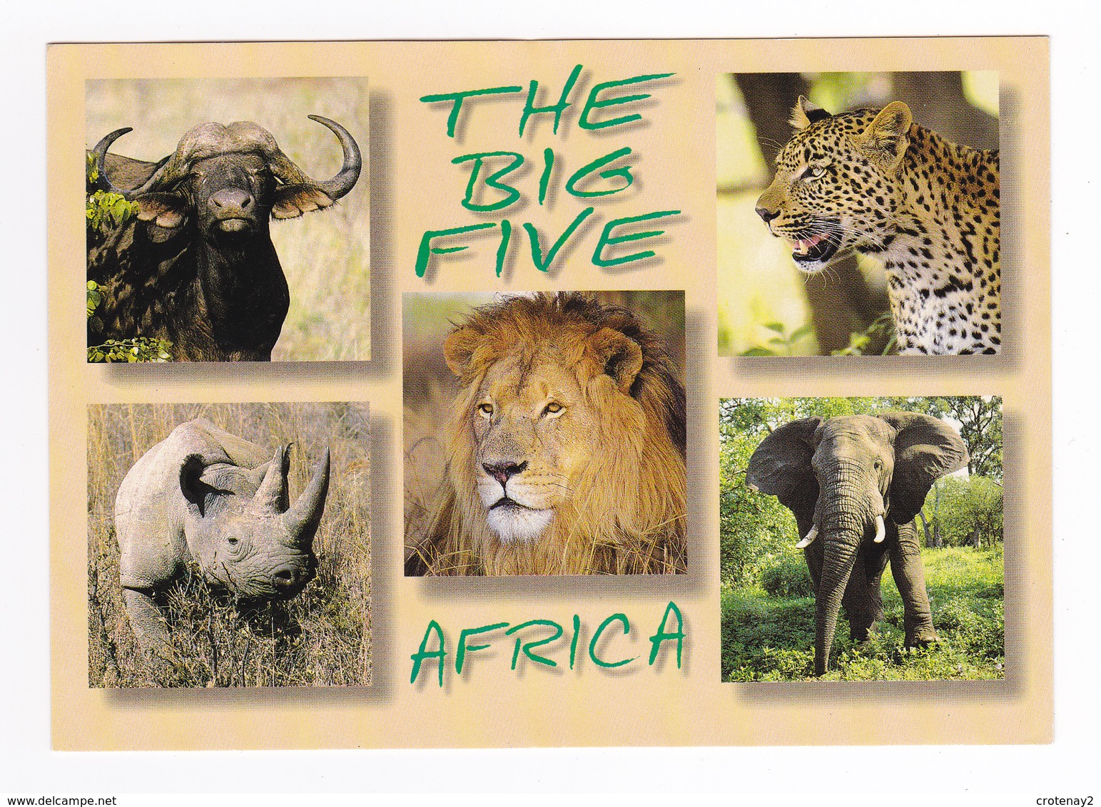 The Big Five African Buffalo Lion Léopard Rhinocéros Eléphant En 2000 - Éléphants