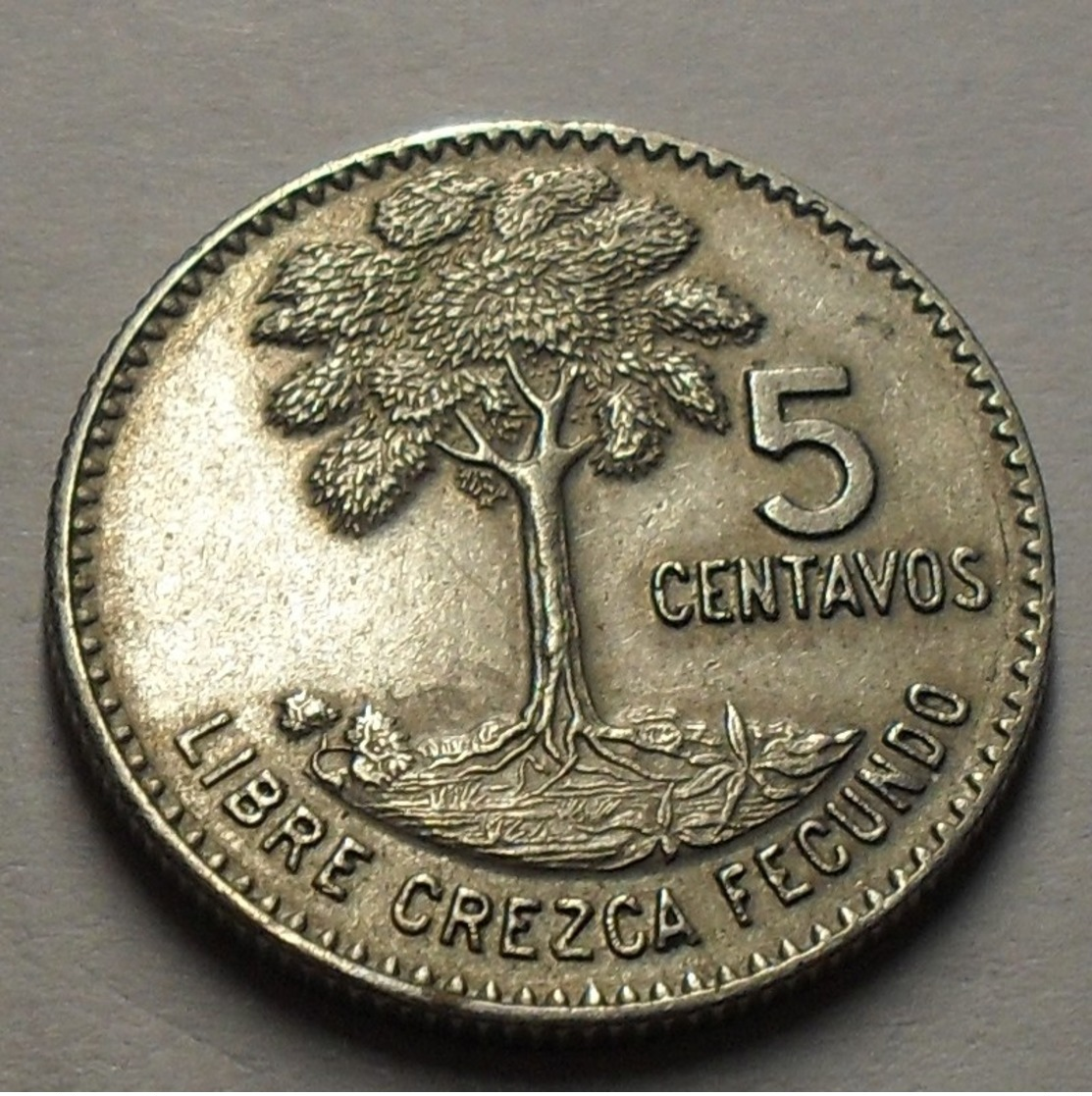 1970 - Guatemala - 5 CENTAVOS, Large Date, KM 266.1 - Guatemala