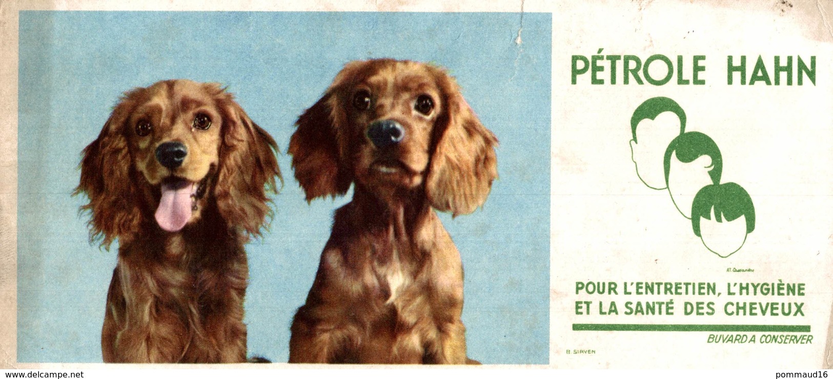 Buvard Pétrole Hann : Chiens - Parfums & Beauté