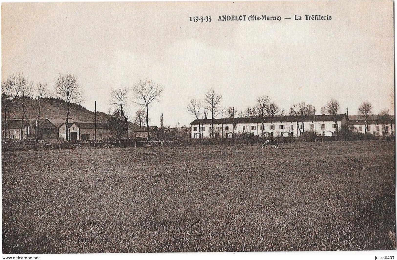 ANDELOT (52) Usine La Tréfilerie - Andelot Blancheville