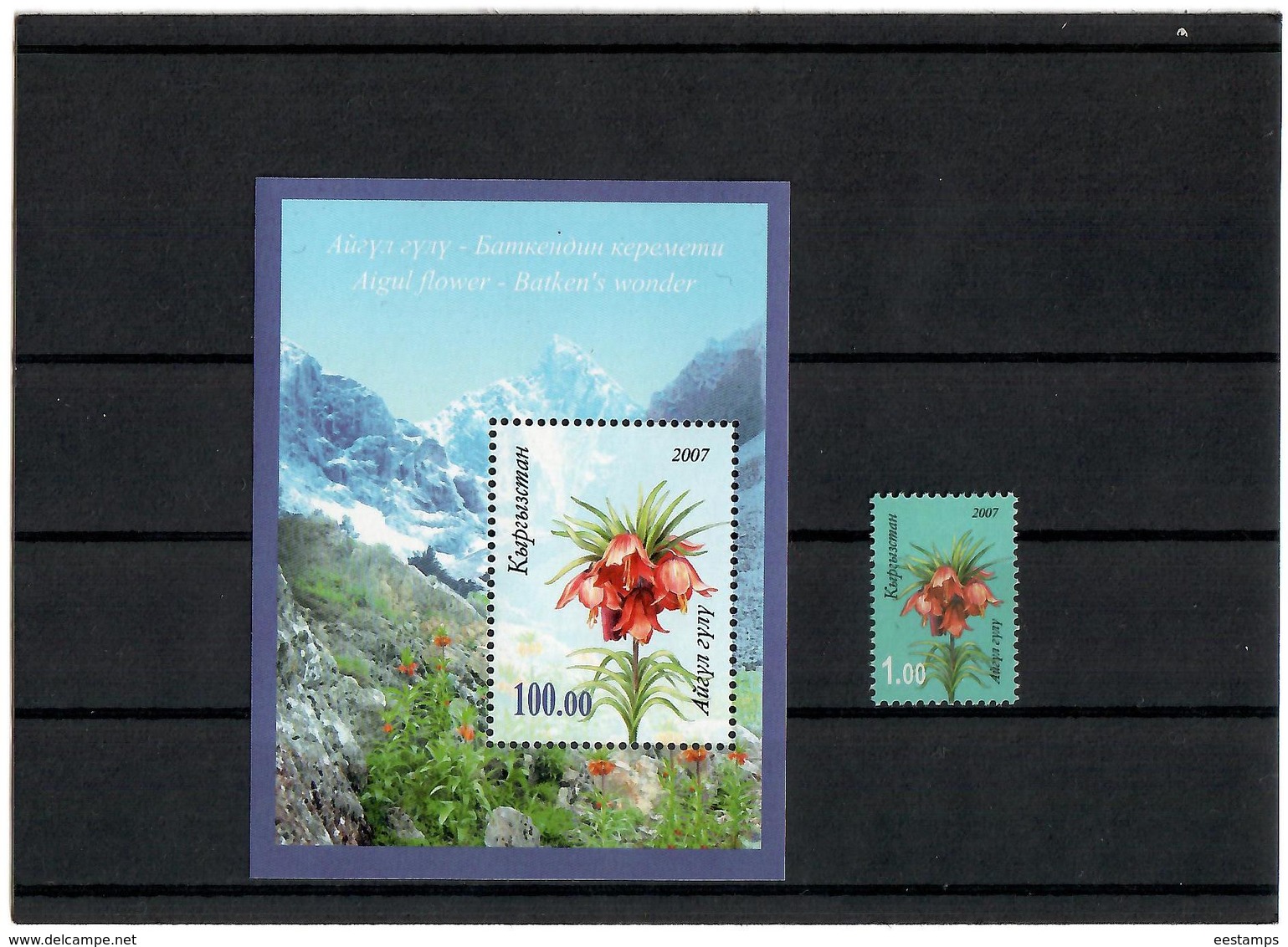 Kyrgyzstan.2007 Mountain Flower. 1v:1.00 + S/S: 100.oo Michel # 494+BL49 - Kirghizistan