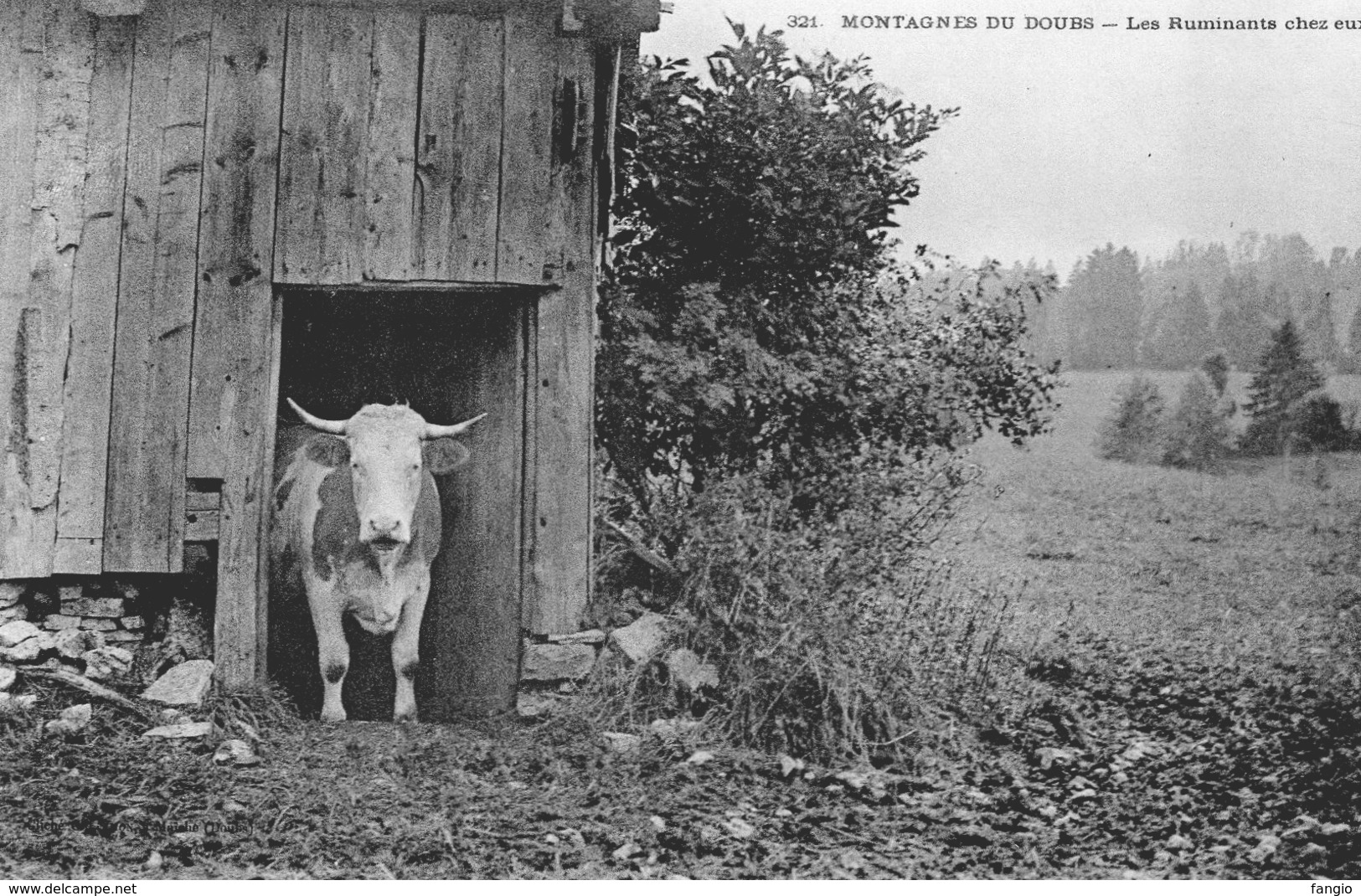 25  MONTAGNES DU DOUBS - Lot De Deux Cartes. - Autres & Non Classés