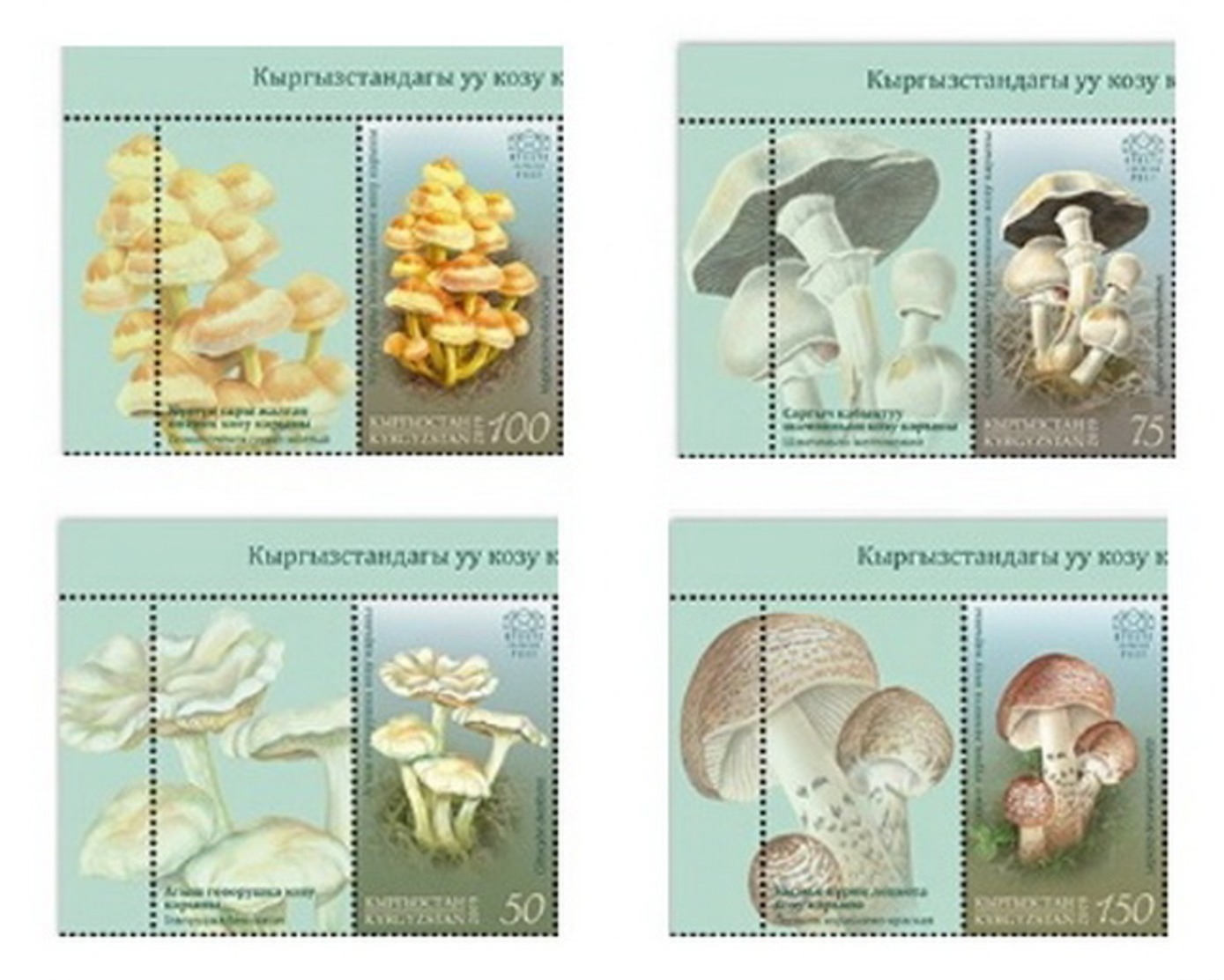 H01 Kyrgyzstan 2019 Mi# 121-124 Poisonous Mushrooms Pilze Label MNH Postfrisch - Kirgisistan