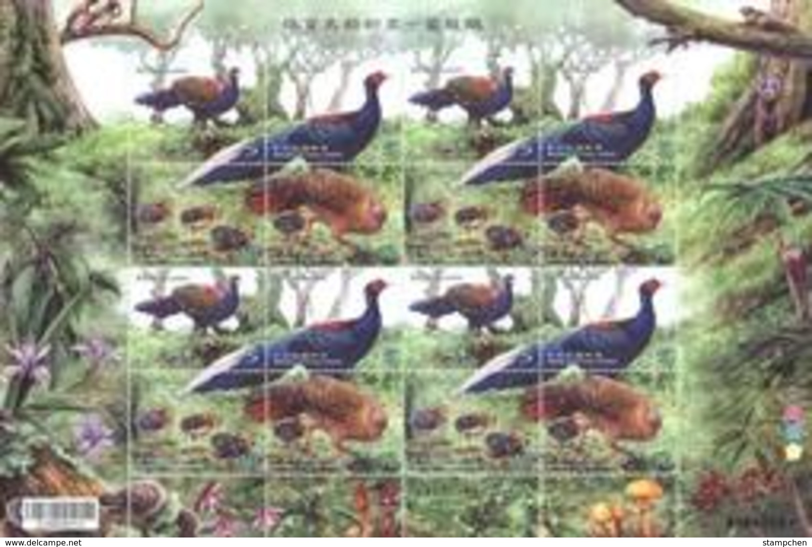 2014 Conservation Of Birds Stamps Sheet-Swinhoe Pheasant Mother Children Bird Forest Fern Squirrel Fungi Mushroom Fruit - Roedores