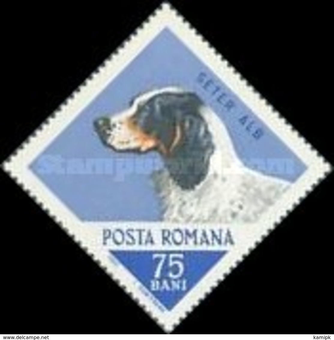 USED STAMPS Romania - Hunting Dogs -1965 - Used Stamps