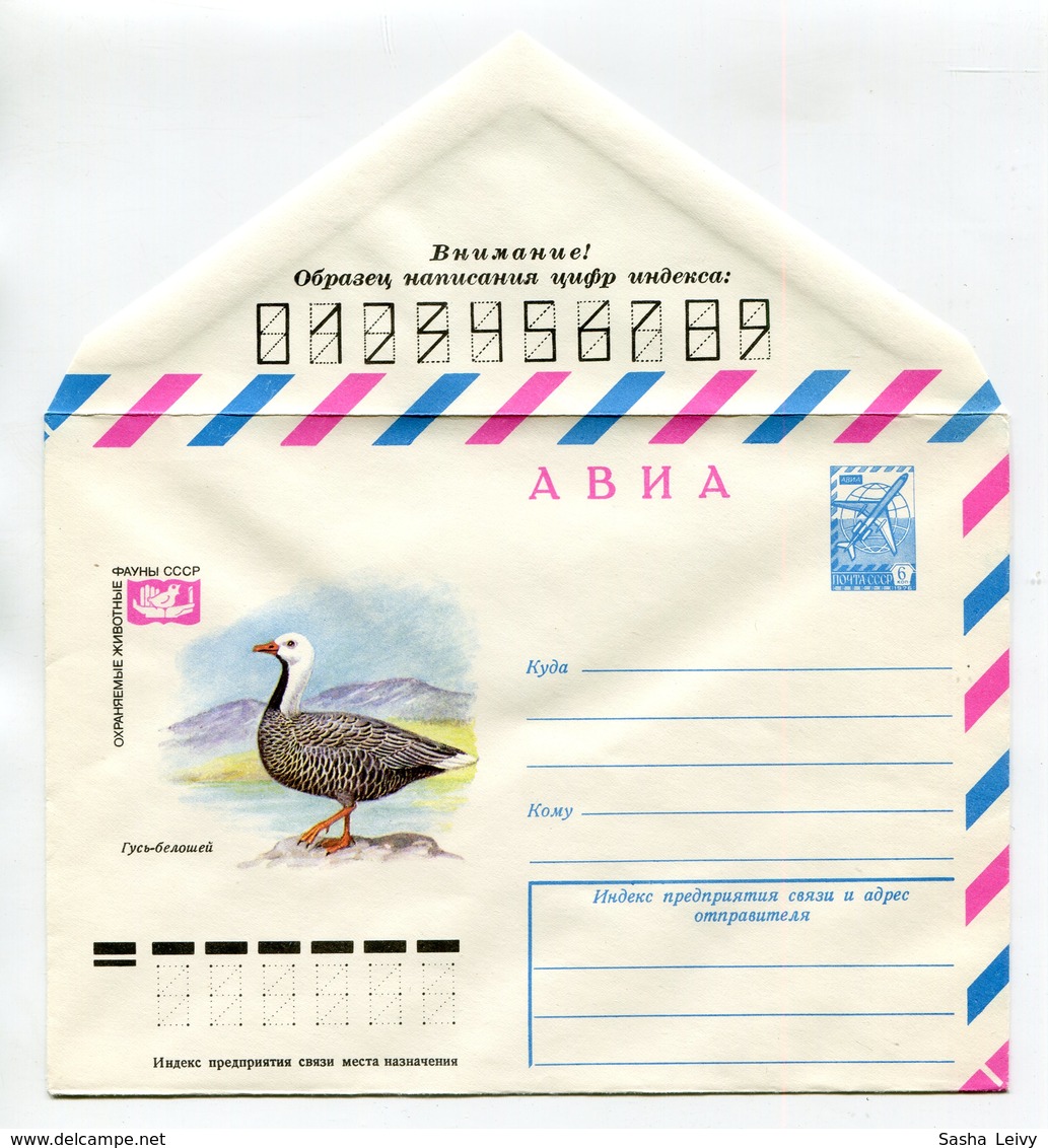 COVER USSR 1978 EMPEROR GOOSE FAUNA BIRDS #78-366 - 1970-79