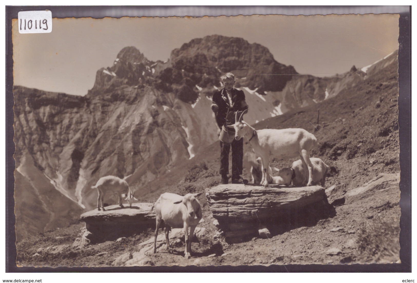 BEI KANDERSTEG - CHEVRIER ET SES CHEVRES - TB - Kandersteg