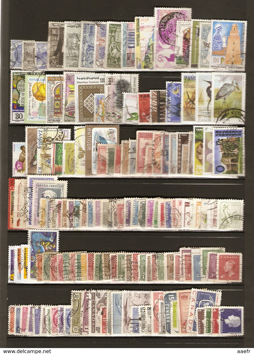 Monde - 5000 timbres différents - 168 pays, toutes époques, tous formats