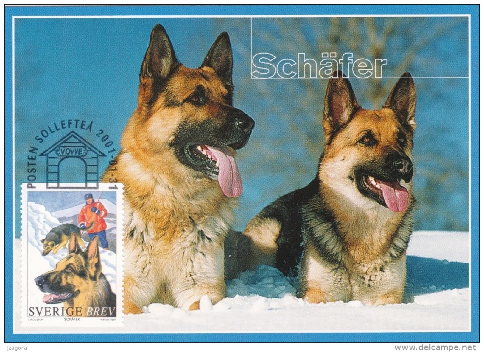 DOGS DOG - GERMAN SHEPHERD SCHÄFERHUND PASTOR PASTORE -  SWEDEN SUEDE SCHWEDEN 2001 MI 2218 MAXIMUM MAXI CARD CARTE - Dogs