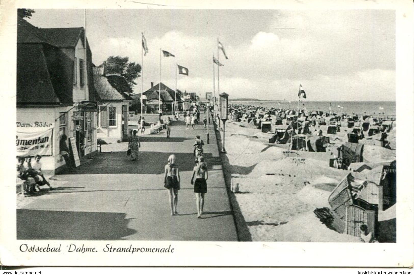 006558  Ostseebad Dahme - Strandpromenade  1957 - Dahme