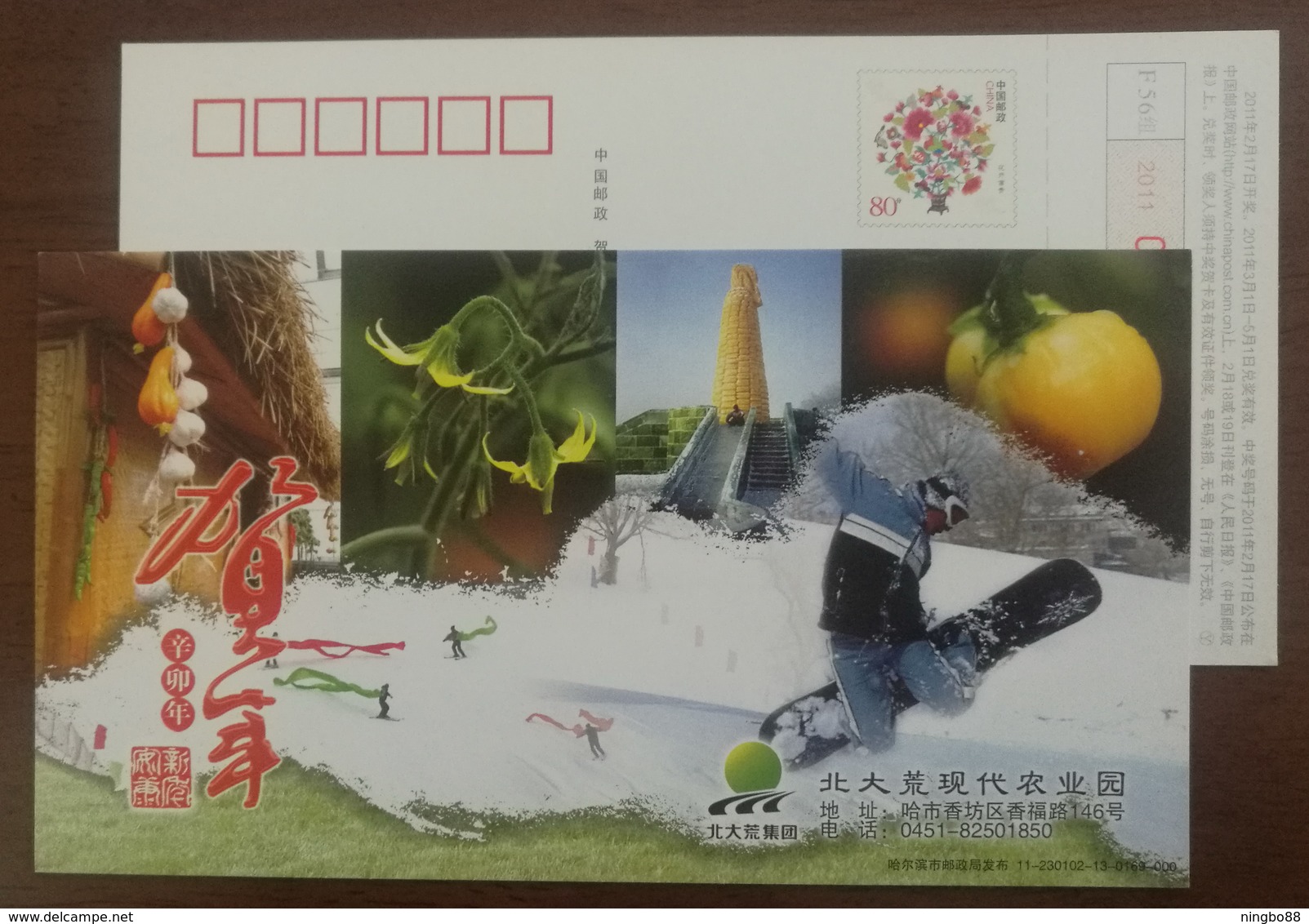 Pumpkin Garlic,vegetable,Sculpture Of Corn,skiing Resort,CN 11 Beidahuang Modern Agricultural Park Pre-stamped Card - Vegetables