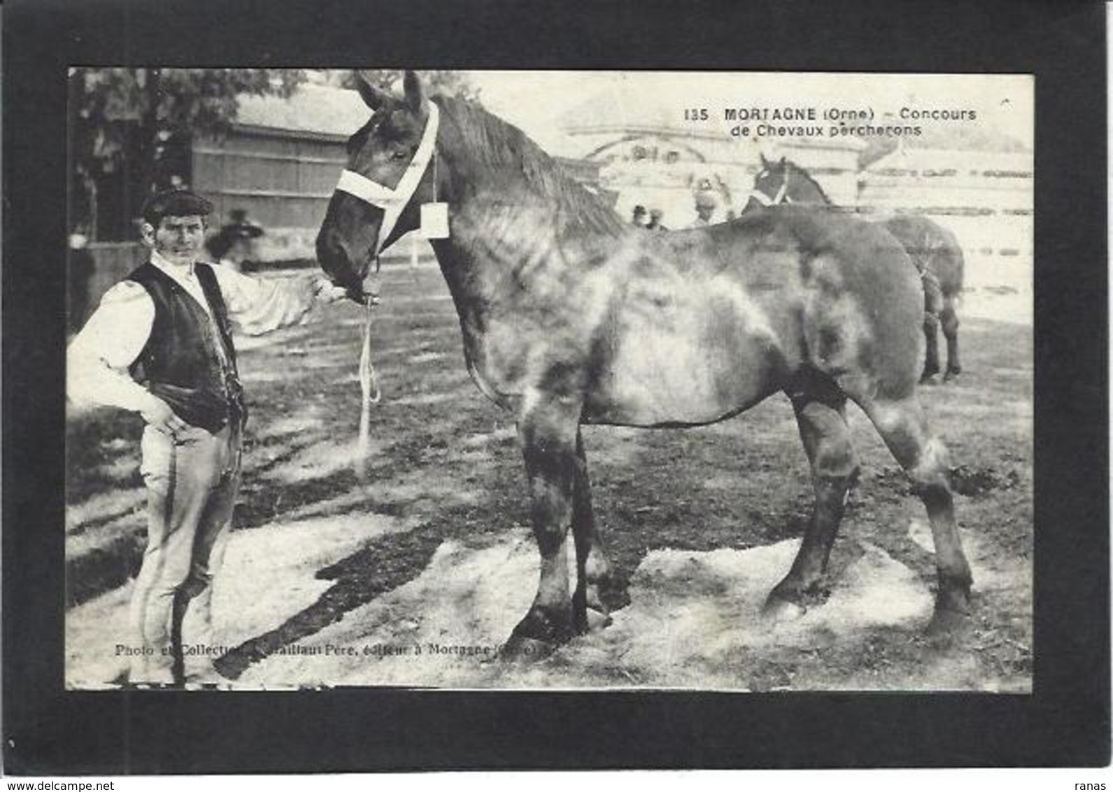 CPA Orne 61 Mortagne Concours De Chevaux Percheron Circulé - Mortagne Au Perche