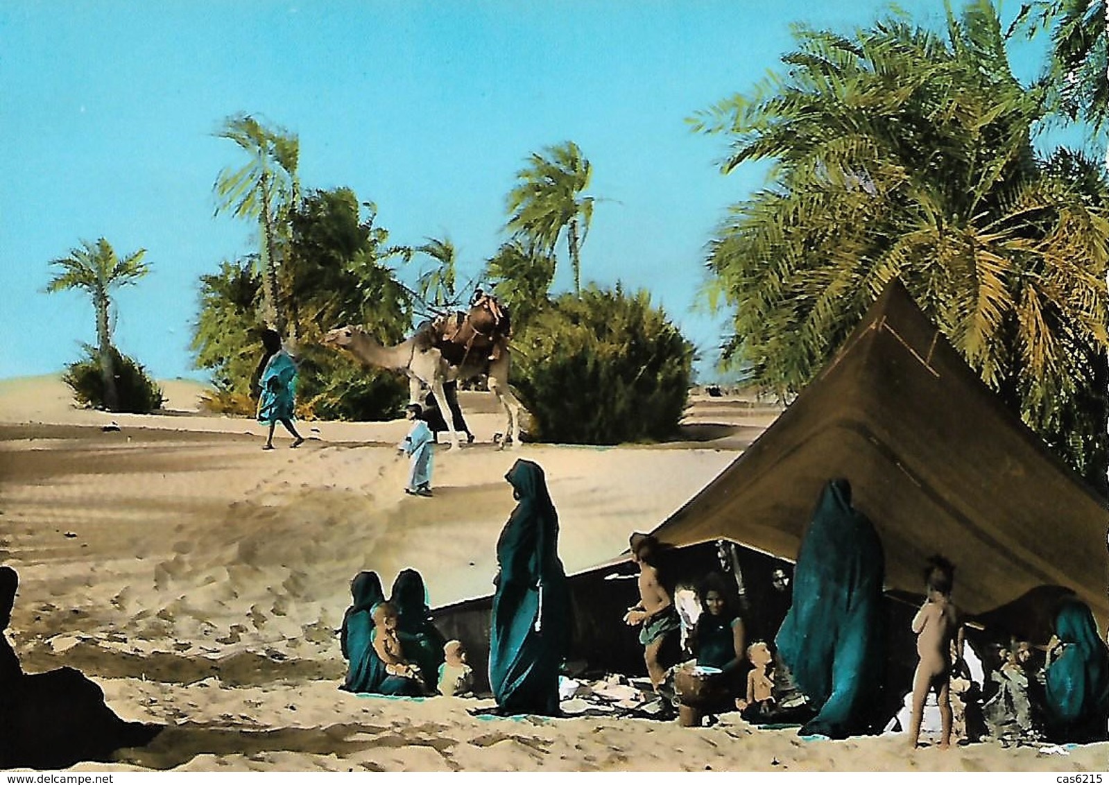 Afrique Afric Mauritanie Campement Dans L'Oasis Chameau Carte Postale Postcard - Mauretanien