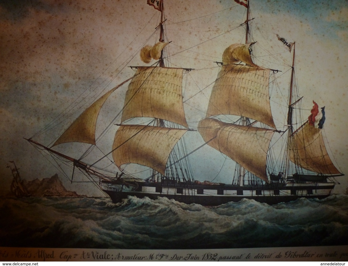 Trois Mâts ALFRED ,Capitaine Viale,au Détroit De Gibraltar, Pour ANTILLES (Portrait Navire  ,dim. Hors-tout = 48 X 36cm - Maritieme Decoratie