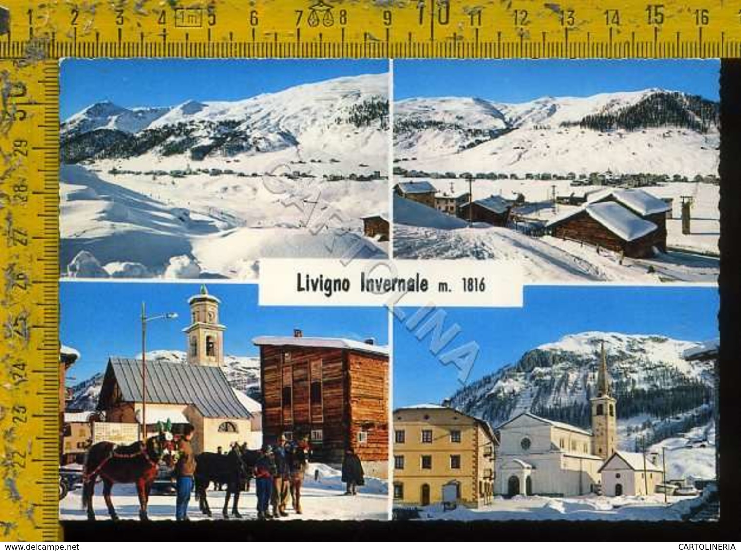 Sondrio Livigno - Sondrio