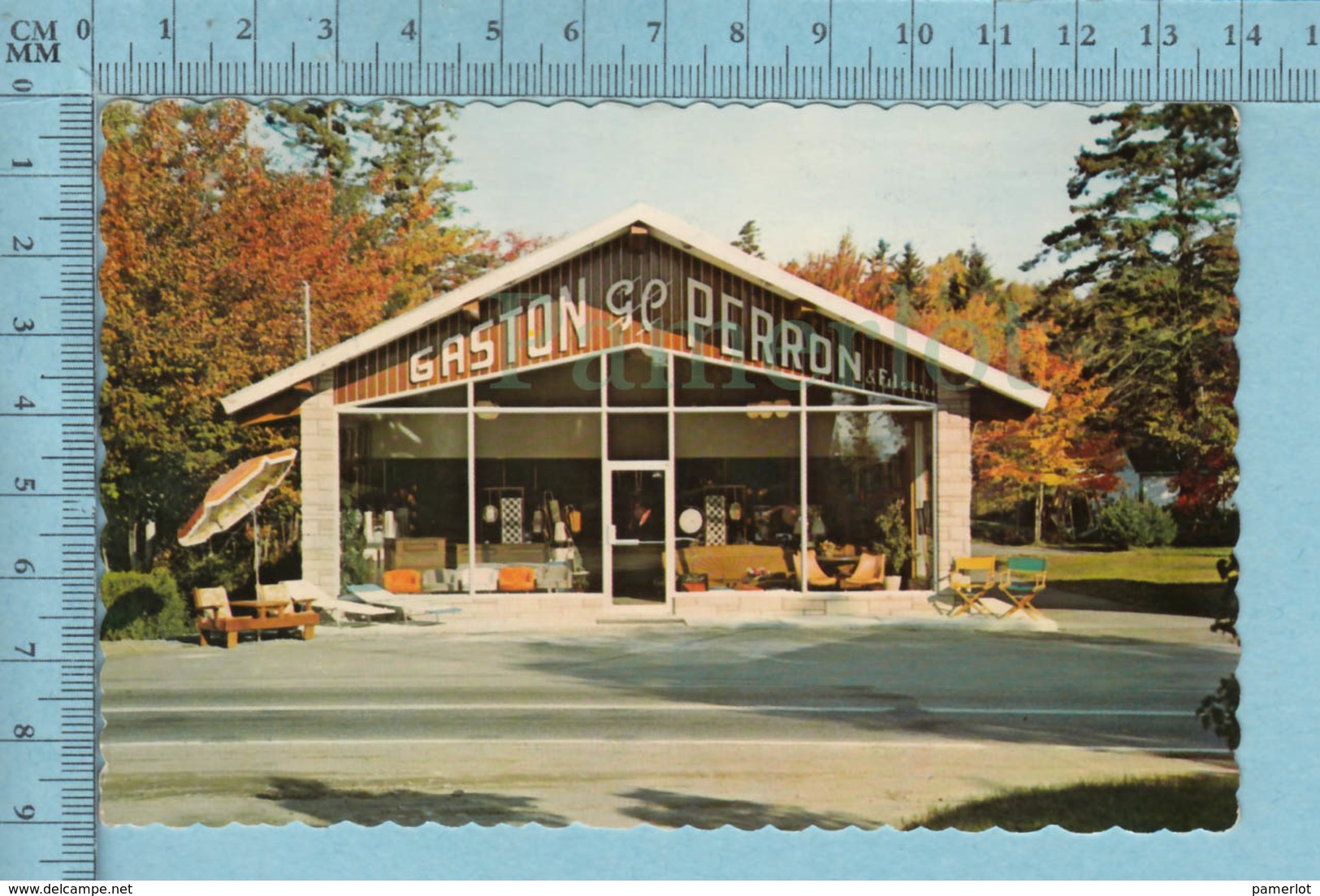 Cap Santé Quebec - Magasin Gaston Perron  - A Servie En 1982 - Post Card Carte Postale - Altri & Non Classificati