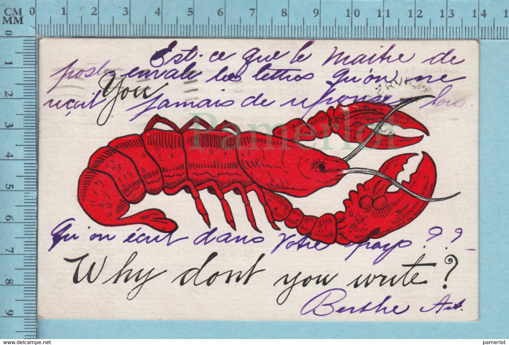 CPA Homard - Why Dont You Write ? - A Servie Vers  1906 - Post Card Carte Postale - Autres & Non Classés