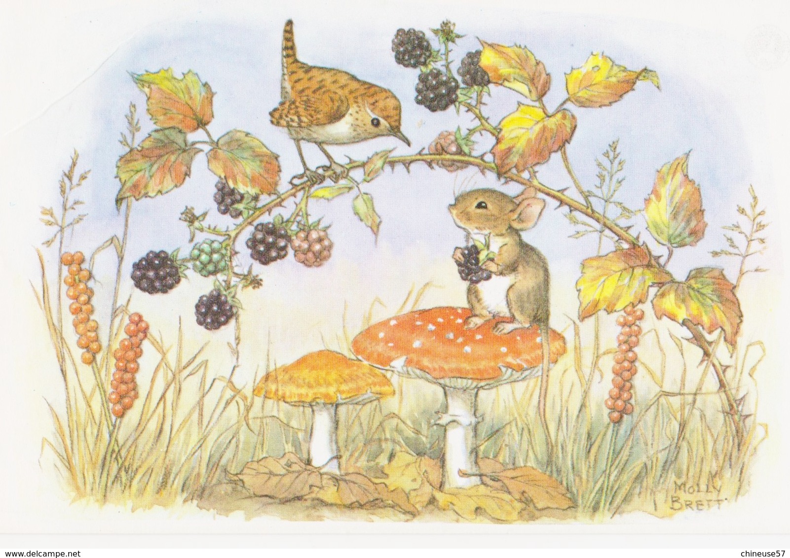 Illustrateur Molly Brett Blackberry Time Souris Oiseau Champignons - Andere & Zonder Classificatie