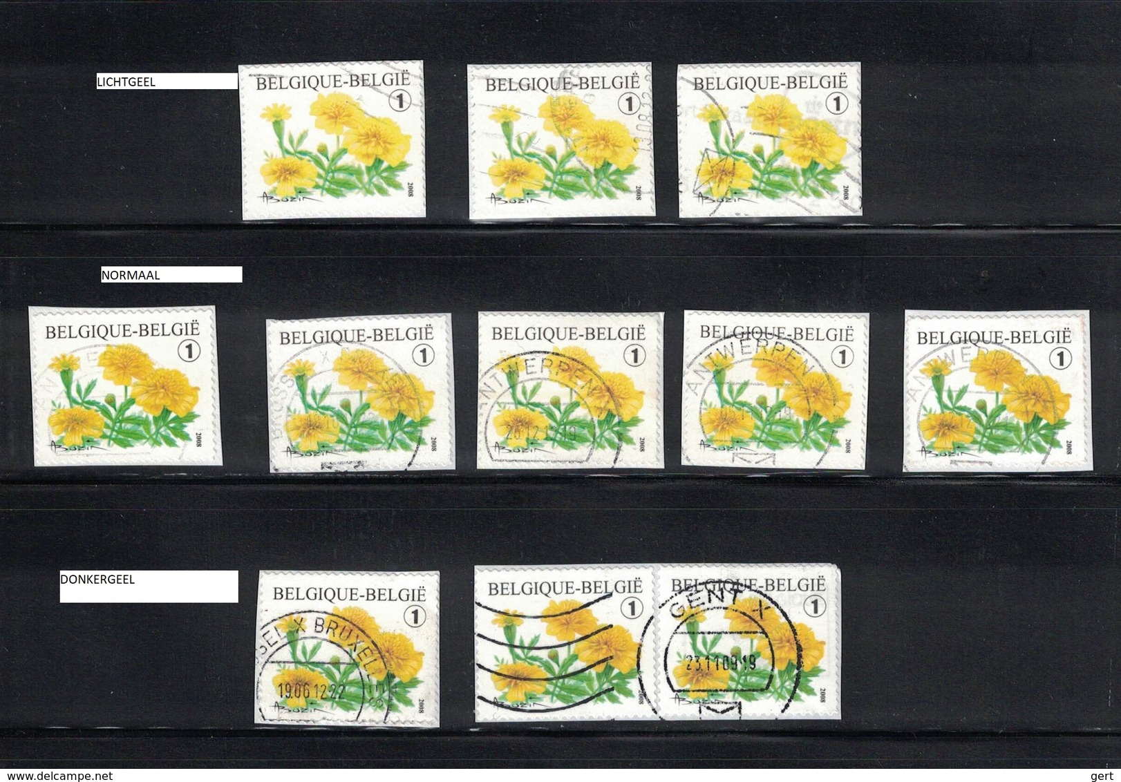 R113 Gestempeld / R113 Oblitéré - Kleurnuances / Nuances De Couleur - Gestempeld / Oblitéré - Coil Stamps
