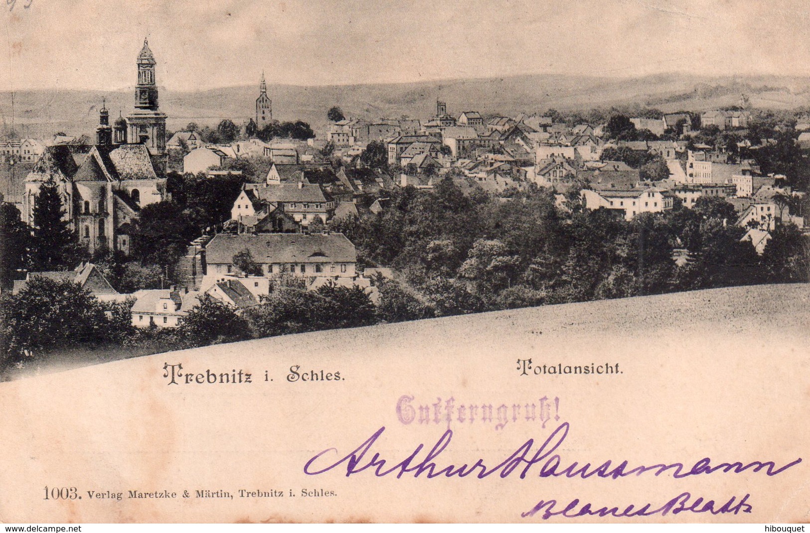 CPA Rare, Trebnitz I. Schies, Totalansicht - Poland