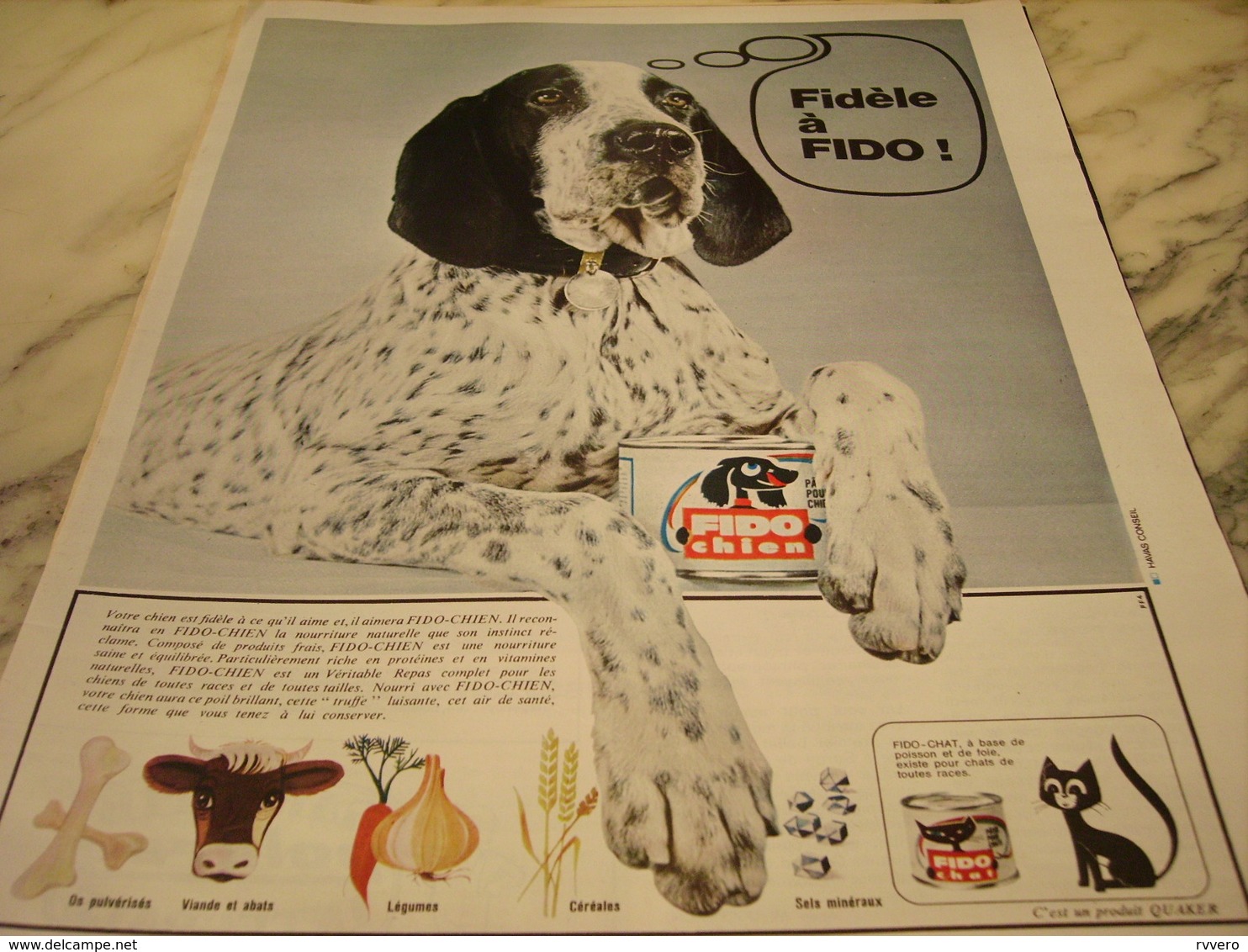 ANCIENNE PUBLICITE FIDELE A FIDO CHIEN 1965 - Autres & Non Classés